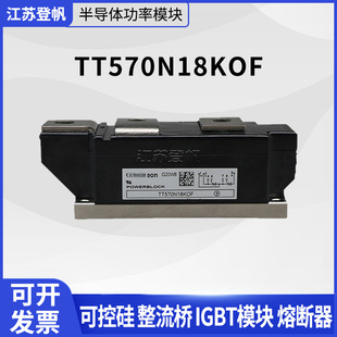 �ɿع���O��TT570N08KOF/12KOF/14KOF/16KOF/18KOF�F؛