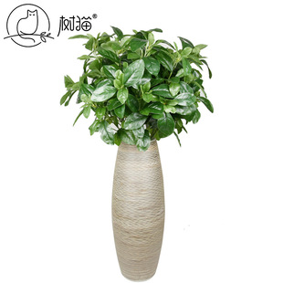 ����ֲ���~��75cm�d���~�L֦����ͩë�{�ȼ����~�ٻ��b廨�[��