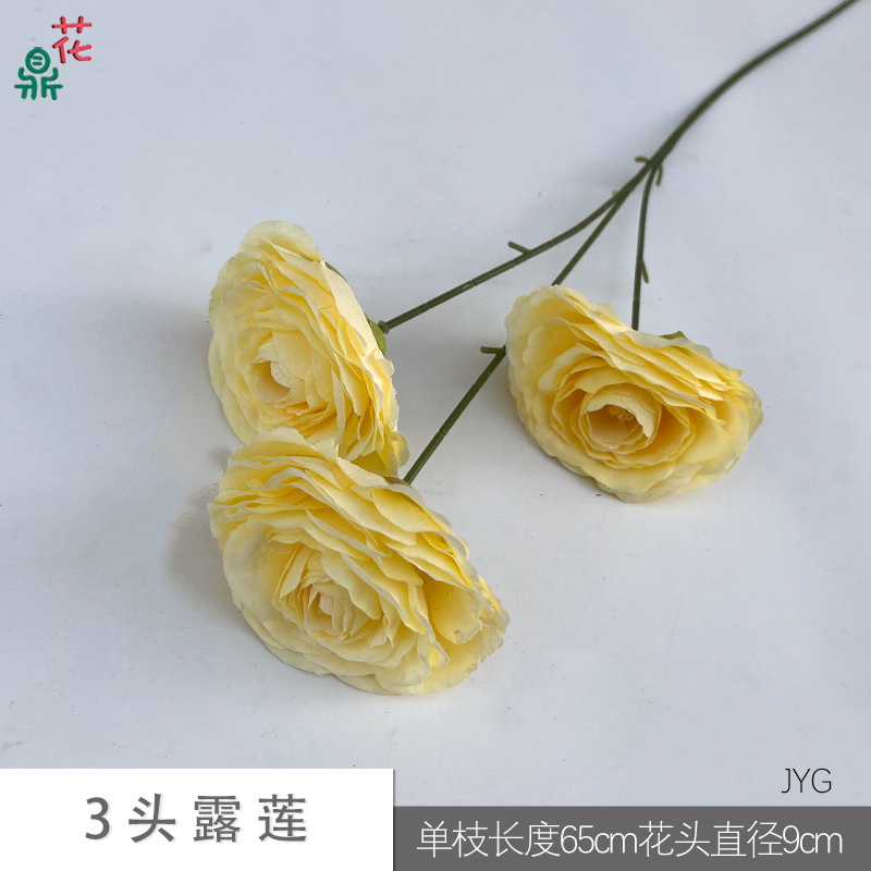 3 đầu lulian JYG Vàng