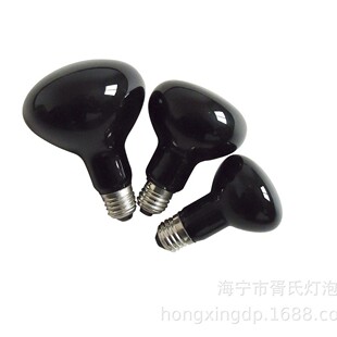 �����ӟ�ҹ�� R80 100W  ҹ�g�ӟ�� ���Ϻ�