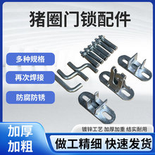 �iȦ�T���uһ�w�T���i���T��۵��ۻ��T�i�ۼ����iĸ�i�a�������i