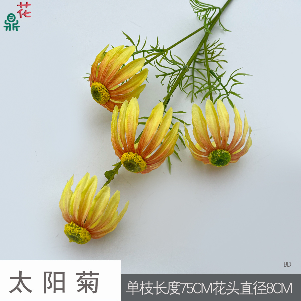 Hướng dương BD Vàng