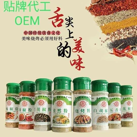 烧烤调味料;其他调味品;调味酱