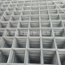 加粗镀锌铁丝电焊网片家用鸡狗鸟兔笼钢丝网格养殖围栏防护隔离网