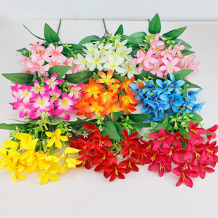 �F؛���l���^С�ٺϻ�С�������Է��滨�ٻ��Ҿ��bzӰ���߽���