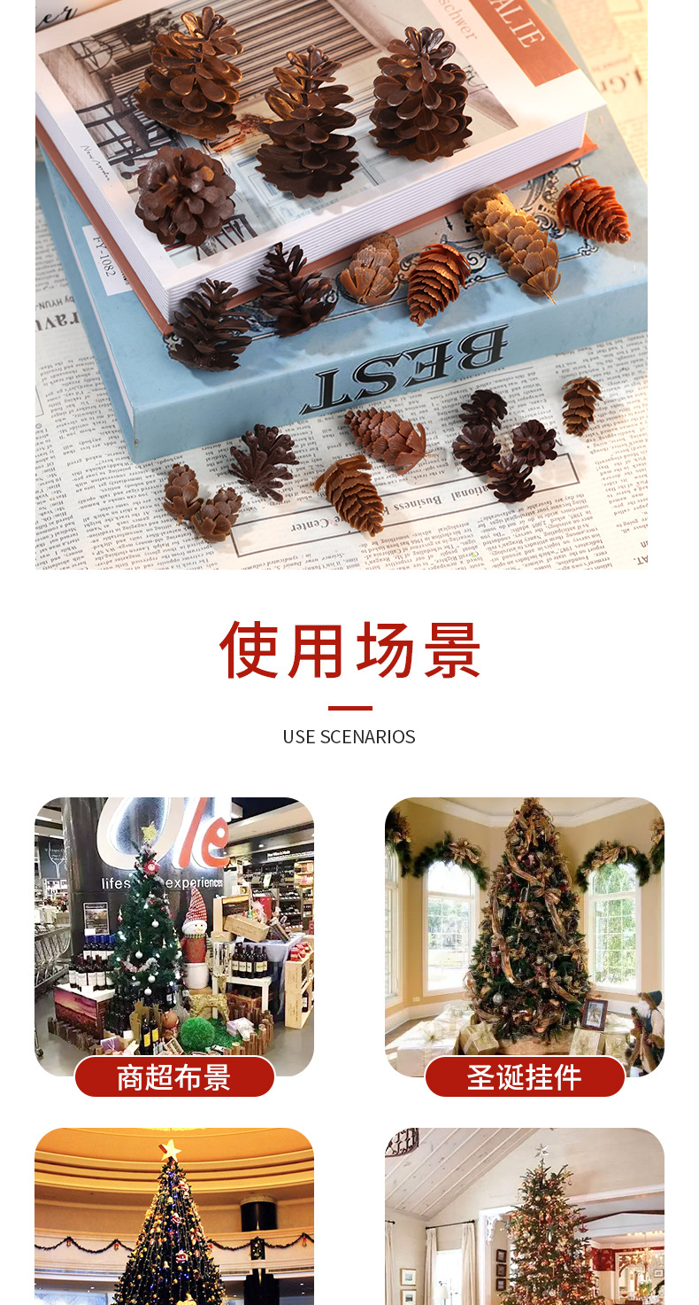 塑料松果详情_05.jpg