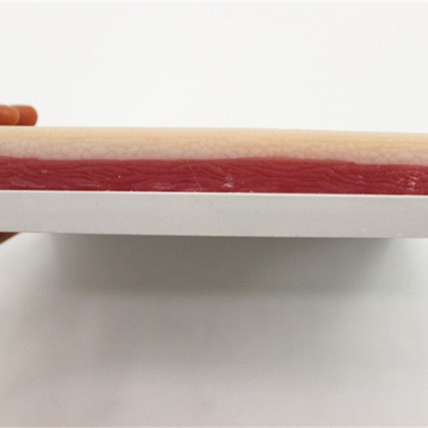 ��������Ƥ�������ϰ ��ƴ��ѵ��ģ�� Ƥ���п����ģ��