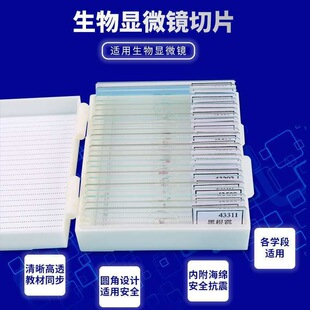 ������Ƭ�@΢�R�˱��b�Ĵ�M����ĸe���п��������w����Ƥ�Y��