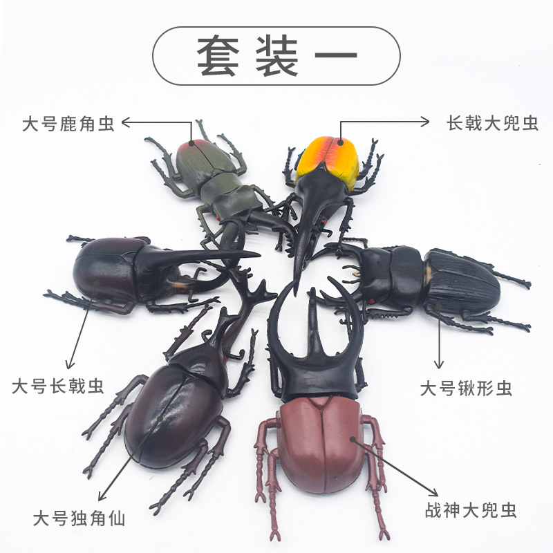 단일 랜덤 (대형 딱정벌레)