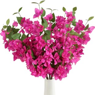 �羳�����bٻ���c���R�d��������÷��ֻ��c�b��滨֦�Ҿ�