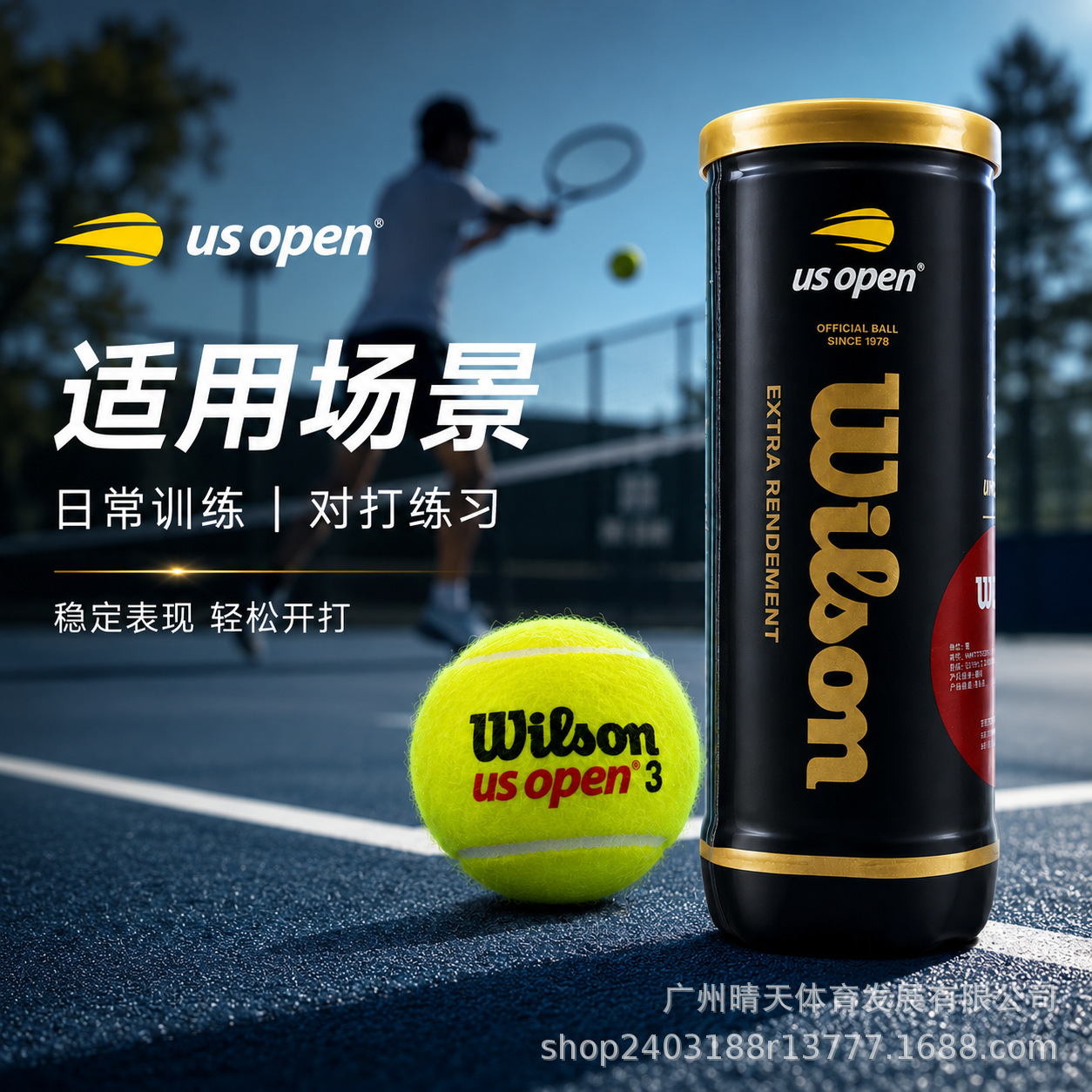 Wilson tennis ball, US Open competition ball, Masters tennis ball, Federer endorsed champion ball