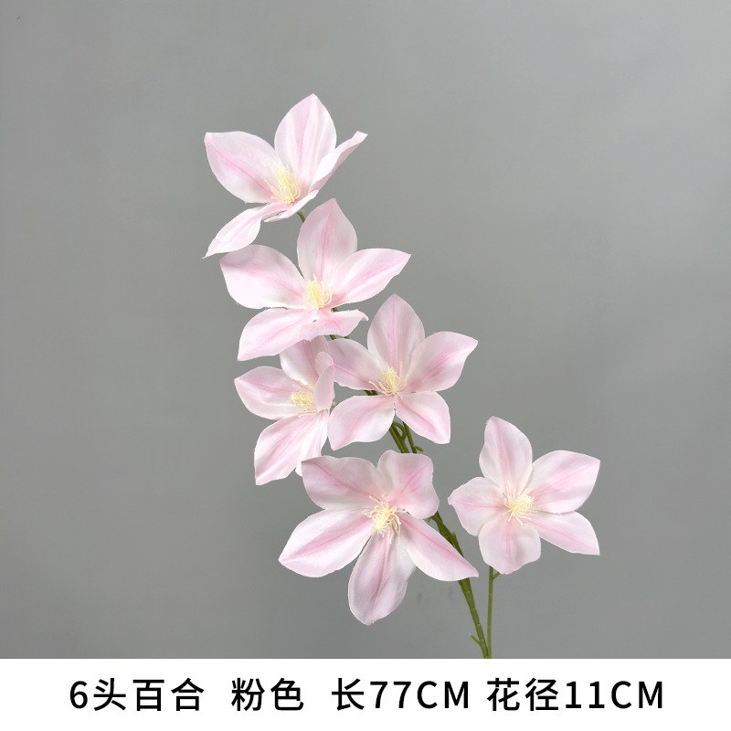 6송이 백합, 핑크색