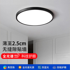 Modern Minimalist Ultra-Slim Seamless LED Balcony Black Flush Mount Ceiling Lamp Room Bedroom Lamp Full Spectrum Eye-Care Living Room Lamp