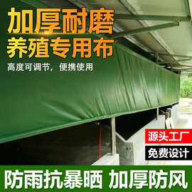 供应pvc防水涂塑布养殖场卷帘布防雨布防晒工地盖布油布加厚篷布