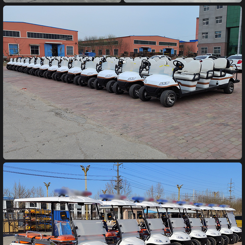 Electric Golf Cart Scenic Spot B&B Shuttle Car Real Estate Viewing Car Travel Winery Park Electric Sightseeing Car