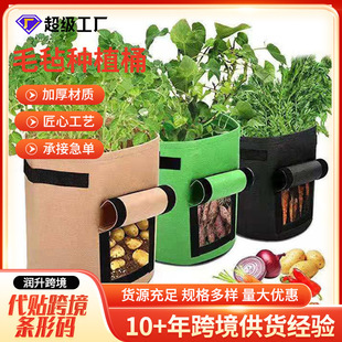 �羳�o�����NֲͰ�@ˇ�N���N�˷NֲͰ���仨�ܼӺ������������L��