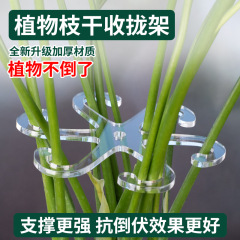 植物の枝の枝の閉じた器の支持台の園芸の緑の花の根茎の固定器の亀の背の竹の倒伏の神器を防ぎます。