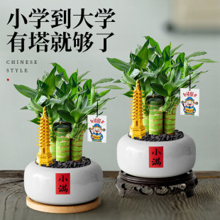 �Ĳ����҃�����Gֲ���F��С����ˮ���Ĳ����k������ֲ��[���ļ�