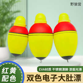 双色电子大肚漂 海杆阿波漂 渔具用品泡沫锚鱼漂 EVa鲢鳙漂
