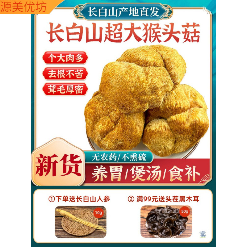东北长白山特产级特大猴头菇养胃菌非野生可打粉煲汤干货500g新货