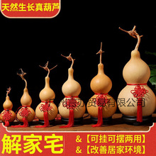 ��Ȼ���J����Ї��Y����Xľ�|����J���Ҵ����������J�[���͏d