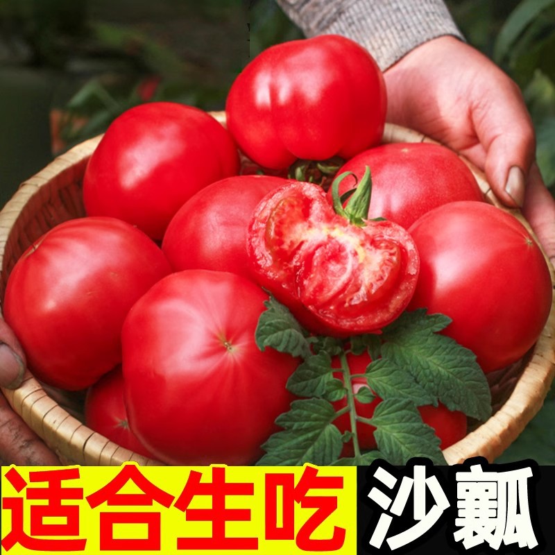 西红柿新鲜普罗旺斯自然熟蔬菜草莓柿子水果生吃沙瓤番茄顺丰大果