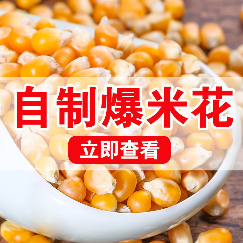 Popcorn Corn grain wholesale Northeast spherical Burst Corn grain family Corn Cross border Amazon Manufactor