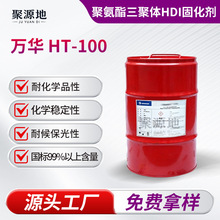 ��HT-100 Ϳ�Ϲ̻���������̺���100 ���ܼ��ͻƱ�HDI��������