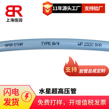 供应德国SPIR STAR超高压管总成3/6 2800BAR 超高压水清洗