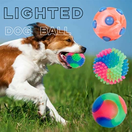 减压玩具;狗狗玩具;整人玩具