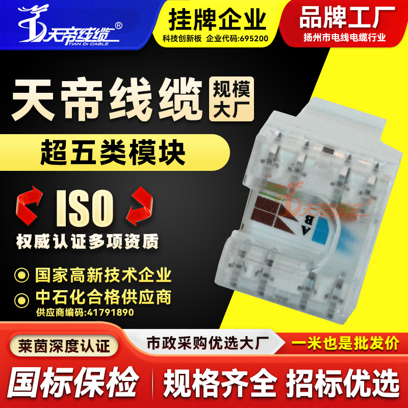 厂家直销天帝超五类CAT5网络模块非屏蔽网络布线面板网线插座信息
