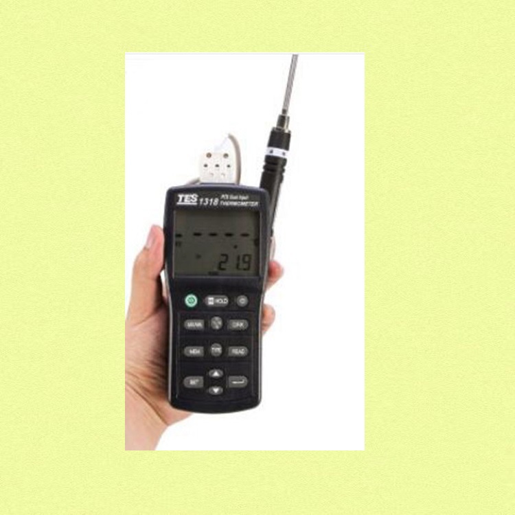 双通道铂电阻测温仪 型号:TES-1318 库号：D387589