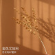 2 golden eucalyptus branches