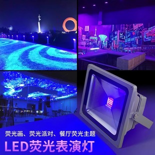 LED UV Flood Light Shadowless Glue Mural Wall Painting Haunted House Bar Tunnel Exhibition UV Violet Fluorescent Light