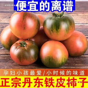 ���|�|���FƤ�����������t�����r�G�����Ƿ���ˮ�������д��