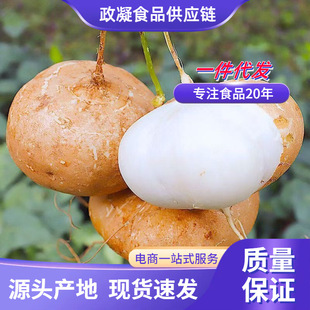 �V�����r�����F�ڰ��ĵع�ˮ��ɳ��F�ڶ��������r���خa�r���߲�