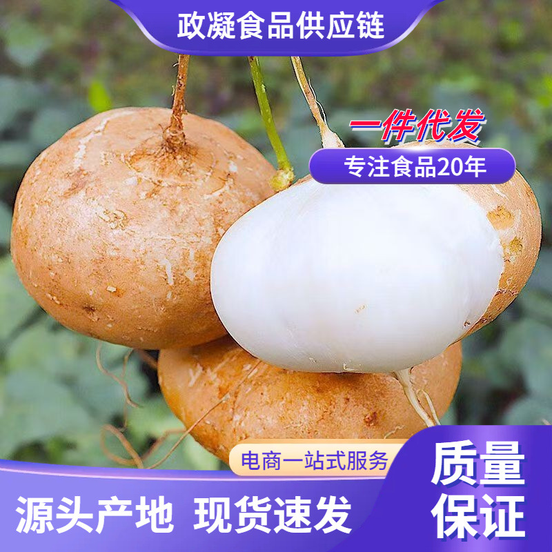 广西新鲜凉薯现挖白心地瓜水果沙葛现挖豆薯番薯农家特产时令蔬菜