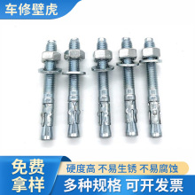批发车修壁虎高强度膨胀螺丝电梯专用膨胀螺栓工程抗震用螺栓锚栓