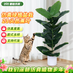 ���W����ֲ��Ž��~�͏d�b��L�Gֲ���Ԕ[���҃ȴ������ɢβ����