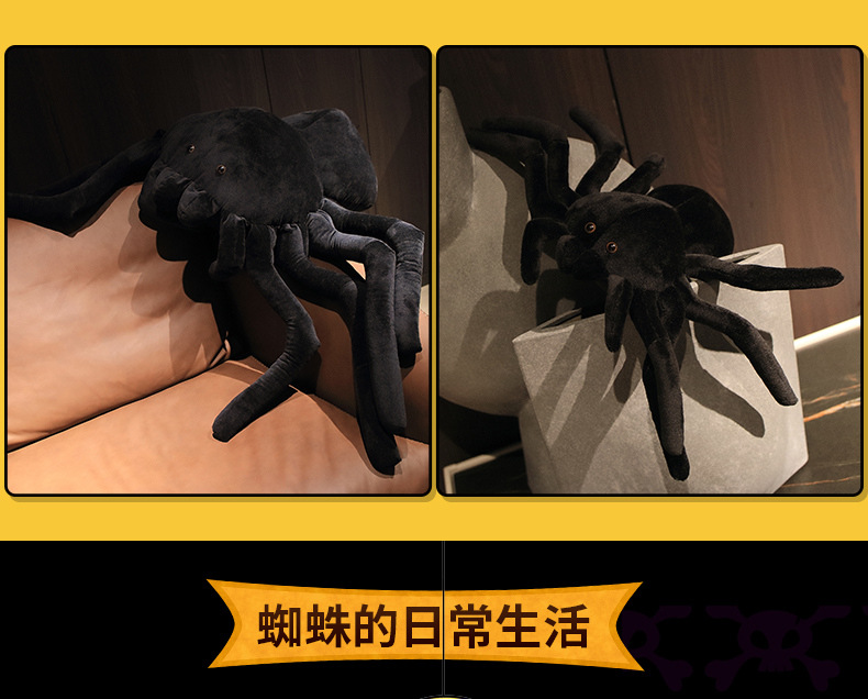 09-蜘蛛+视频.jpg