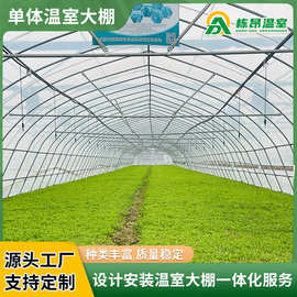 单体温室大棚骨架 养殖大棚 蔬菜大棚 厂家直供 可上门安装