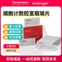 细胞c10228c10283载玻片