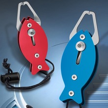 ¿~·Óȡ~b๦Q~bץ~؃r