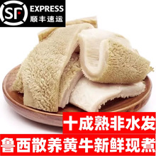 ���rţ�� ����ȫ��ţë�� ţθţ����rë�Ǽ�ʳ�����Sţ��4���b