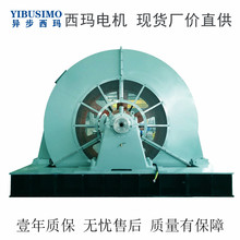 异步起动矿山磨机用同步电机 西玛牌TDMK1800-30/2600 1800KW 6KV