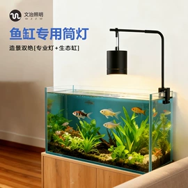 射灯;筒灯;小夜灯