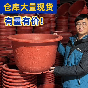 ���Sֱ�N��ڏ��Ӻ����ϻ������ͥԺ�N���N�����B˯ɏ�ɻ������l