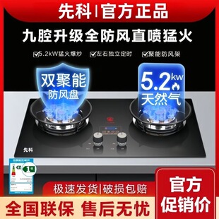 SAST�p��ȼ�������Ƕ��ʽ��Ȼ����̨ʽҺ�����ͻ���