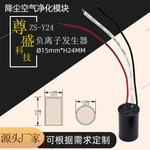 Dust Reduction Air Purification Module Hair Dryer Straight Hair Curling Iron Anti-Static Accessories Small Particle Size Negative Ion Generator