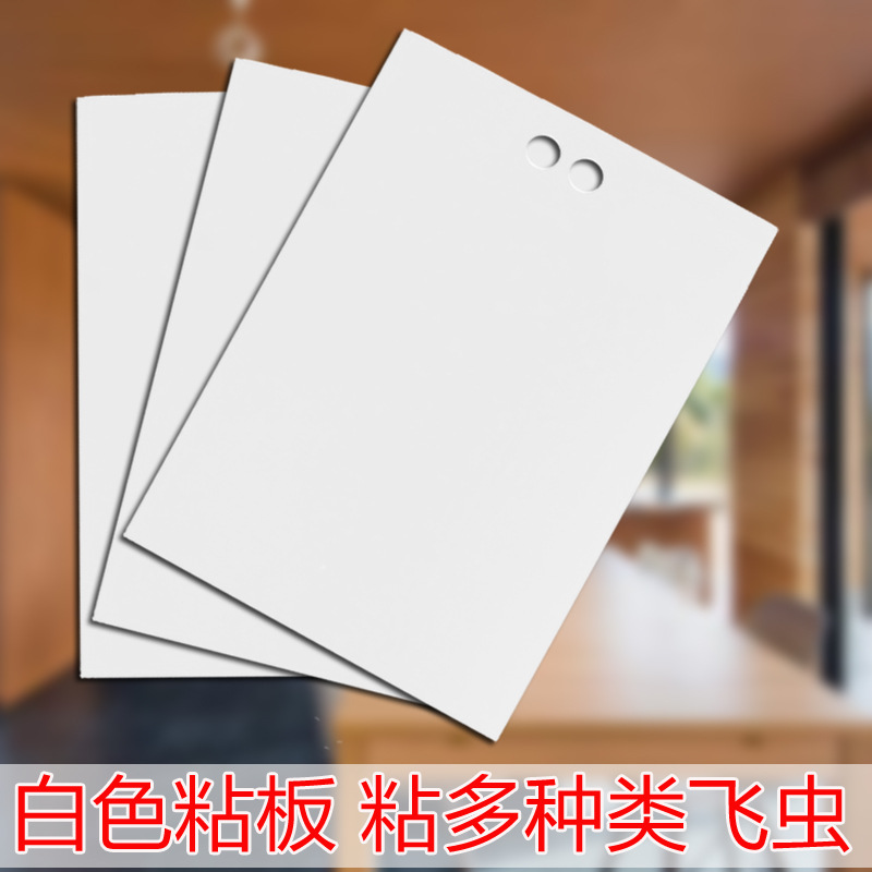 다양한 날아다니는 곤충을 붙이는 양면 특수 접착 흰색 25.20 20매